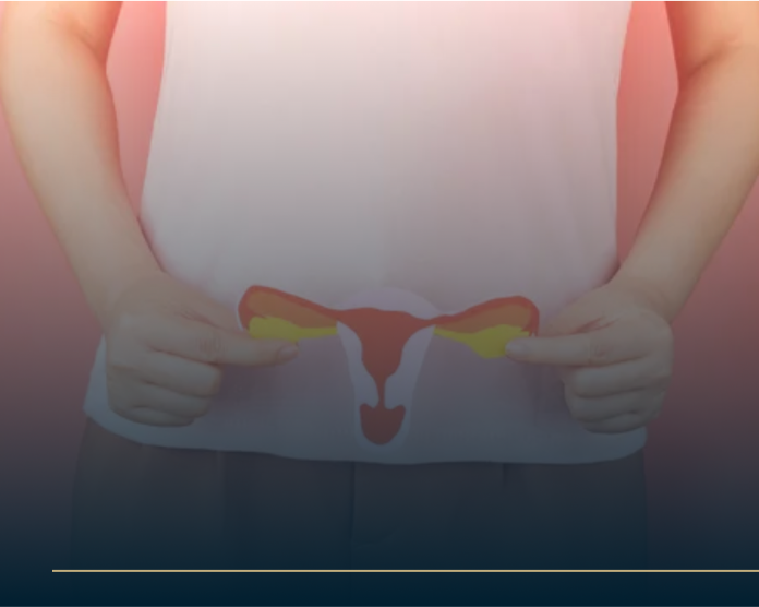 Person holding an illustration of a female reproductive system against their lower abdomen, symbolizing womens health. The backdrop is softly illuminated with a gradient of pink and orange tones.